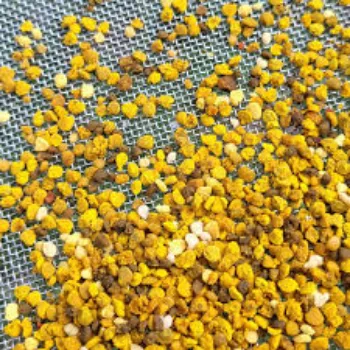 Bee Pollen04-7319154-59810.webp